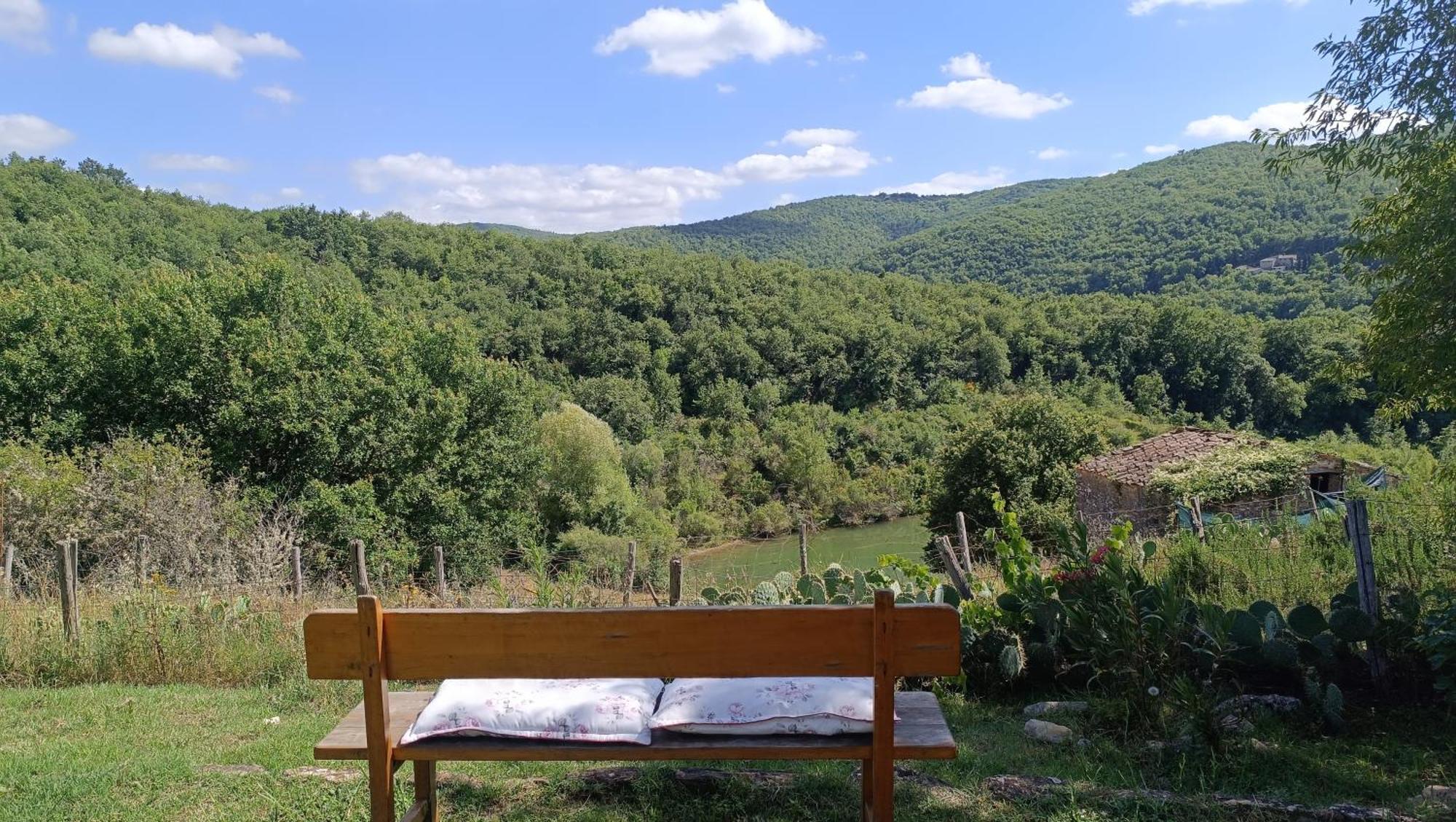 Agriturismo Podere Tegline Radda in Chianti Exterior photo