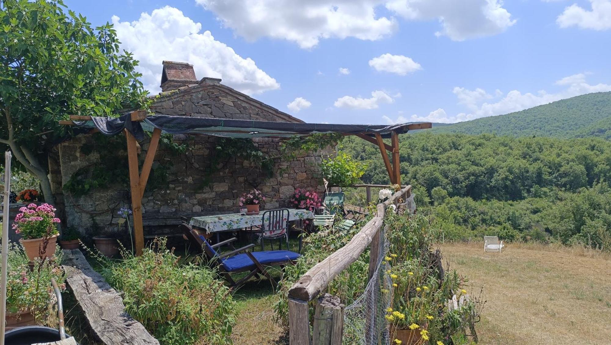Agriturismo Podere Tegline Radda in Chianti Exterior photo