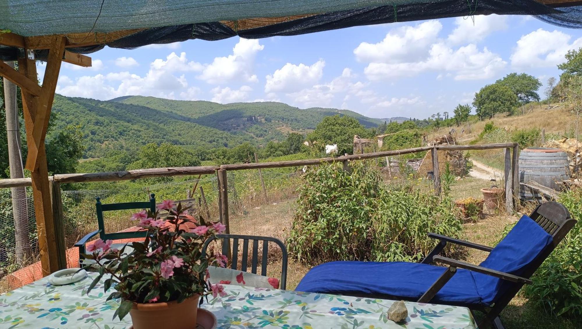 Agriturismo Podere Tegline Radda in Chianti Exterior photo